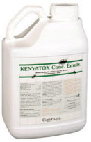 keniatoxce